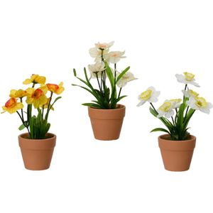 Decoris Bloem narcis in terra cotta pot Ø7.5xH18cm verschillende Kunststof Decoris Kunstplant