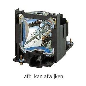 beamerlamp voor Panasonic PT-DS100X, PT-DS100XE, PT-DS8500, PT-DS8500U, PT-DW8300, PT-DW8300U, PT-DW90X, PT-DW90XE, PT-DZ110X, PT-DZ110XE, PT-DZ8700, PT-DZ8700U - compatibele module (vervangt: ET-LAD310W)