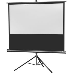 celexon Economy projectiescherm met statief 158 x 89 cm