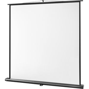 celexon projectiescherm Ultramobil Professional 160 x 160 cm