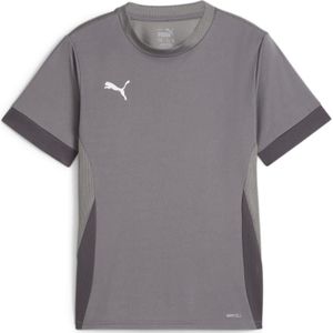 PUMA teamGOAL Matchday Voetbalshirt Kids Grijs Wit