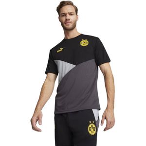 PUMA Borussia Dortmund T-Shirt 2023-2024 Zwart Grijs
