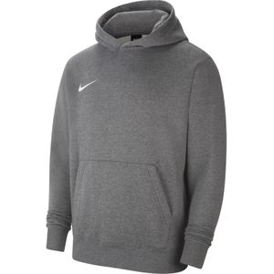 Nike Park 20 Fleece Hoodie Kids Grijs