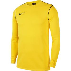 Nike Dry Park 20 Crew Sweater Geel