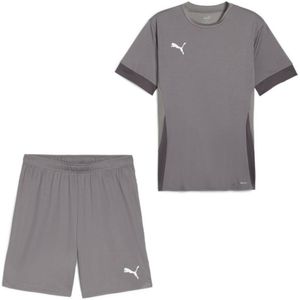 PUMA teamGOAL Matchday Voetbaltenue Grijs Wit