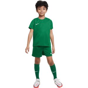 Nike DRY PARK 20 Tenue Kids Groen