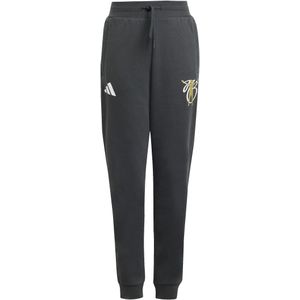 adidas Jude Bellingham Joggingbroek 2024-2025 Kids Donkergrijs Wit Goud