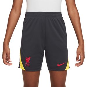 Nike Liverpool Strike Trainingsbroekje 2024-2025 Kids Donkergrijs Geel Rood