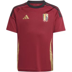 adidas België Thuisshirt Fans 2024-2026 Kids