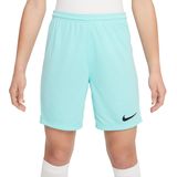 Nike Park III Trainingsbroekje Dri-Fit Kids Turquoise