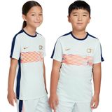 Nike CR7 Academy Trainingsshirt Kids Mintgroen Donkerblauw Goud
