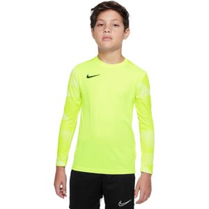 Nike DRY PARK IV Keepersshirt Lange Mouwen Kids Geel