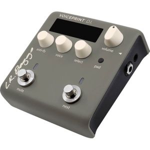 LR Baggs Voiceprint D.I. impulse response-pedaal voor akoestische gitaar