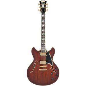 D'Angelico Deluxe DC Stopbar Satin Brown Burst semi-akoestische gitaar met koffer