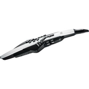 Roland AE-20 Aerophone digitaal blaasinstrument