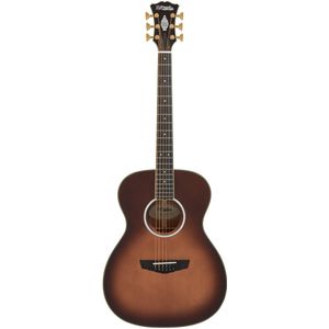 D'Angelico Excel Tammany Autumn Burst elektrisch-akoestische westerngitaar met gig bag