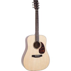 Recording King RD-G6 dreadnought western gitaar