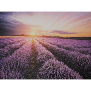 Intratuin tuinschilderij Canva lavendel met zon 70 x 50 cm