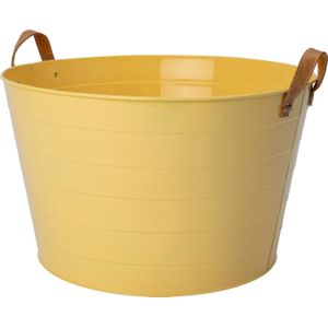 Intratuin plantenteil Mavi geel D 39 H 23 cm