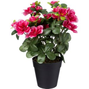 Kunstplant Rhododendron 9 x 9 x 26 cm | in pot | voor binnen | Intratuin