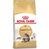 Royal Canin kattenvoer Maine Coon adult 400 g