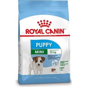 Royal Canin hondenvoer Mini puppy 8 kg