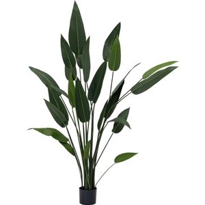 Kunstplant Paradijsvogelplant 65 x 65 x 160 cm | in pot | voor binnen | Intratuin