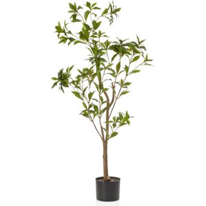 Emerald kunstplant Tea tree 48 x 48 x 120 cm | in pot | voor binnen