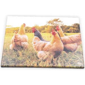 Farmwood Animals tuinschilderij kippen multi 40 x 0,5 x 30 cm