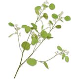 Silk-ka Kunstbloem-Zijden Bloem Eucalyptus Tak Groen 84 cm