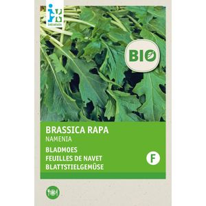 Intratuin Biologisch groentezaad Raapsteel (Brassica rapa 'Namenia')