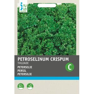 Intratuin kruidenzaad Peterselie donkergroen (Petroselinum Crispum 'Thujade')