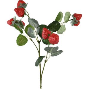 Everlands kunsttak aardbei rood 3 x 16 x 69 cm