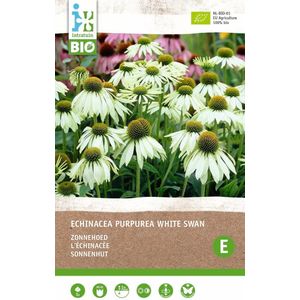 Intratuin biologische vaste plant Zonnehoed (Echinacea 'White Swan')