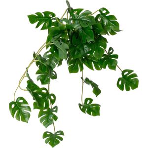 Intratuin kunsthangplant Gatenplant groen 18 x 21 x 70 cm