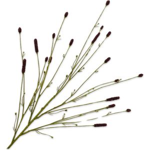 Silk-Ka kunstbloem Pimpernel bruin 116 cm