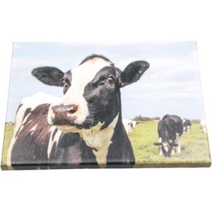 Farmwood Animals tuinschilderij koeien multi 40 x 0,5 x 30 cm