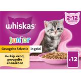 Whiskas kattenvoer in gelei Gevogelte Selectie kitten 85 gr 12 stuks