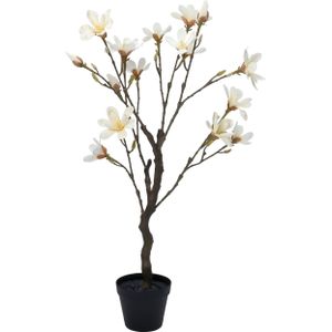 Intratuin kunstbloem Magnolia wit H 98 cm