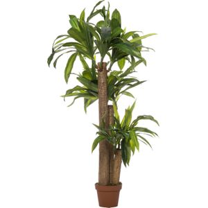 Kunstplant Dracaena op stam H 140 cm in pot | groot | voor binnen | Intratuin