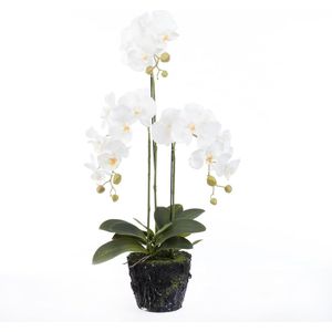 Kunstplant Vlinderorchidee 36 x 28 x 85 cm wit | in pot | voor binnen | Intratuin