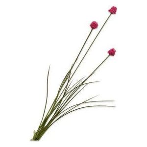 Silk-Ka kunstbloem Allium roze 95 cm