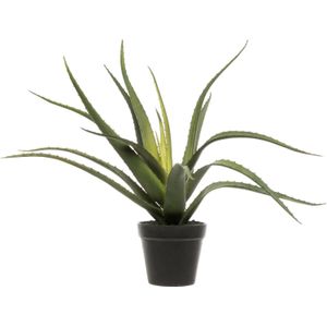 Kunstplant Aloë Vera | Ø 15 H 46 cm | in pot | voor binnen | Intratuin