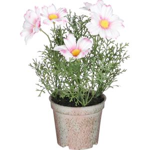 Mica Decorations kunstplant Margriet H 21,5 | Ø 13 cm | in pot | voor binnen