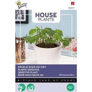 Buzzy House Plants kamerplantenzaad Kruidje-roer-mij-niet (Mimosa pudica)