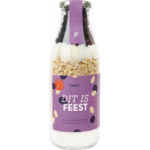 Pineut dit is feest cakemix bleuberry 315 gr