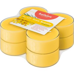 Bolsius geurkaars True Scents Mimosa geel 8 uur D 5,5 H 2,2 cm 8 stuks