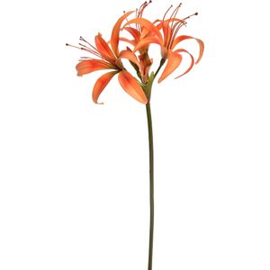 Jasaco PURE kunstbloem Amaryllis oranje 80 cm