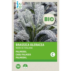 Intratuin biologische groentezaad Palmkool (Brassica oleracea 'Nero di Toscane')