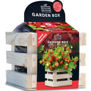 Baza Seeds Garden box kweekset Aardbei (Fragaria vesca) rood 10 x 11 x 12 cm